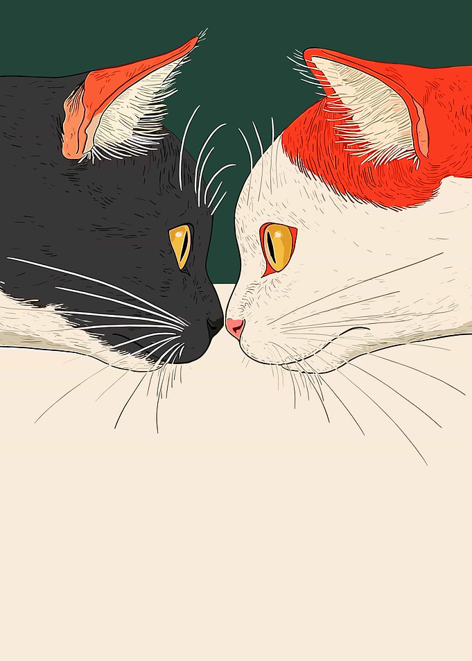 Two Cats Face to Face