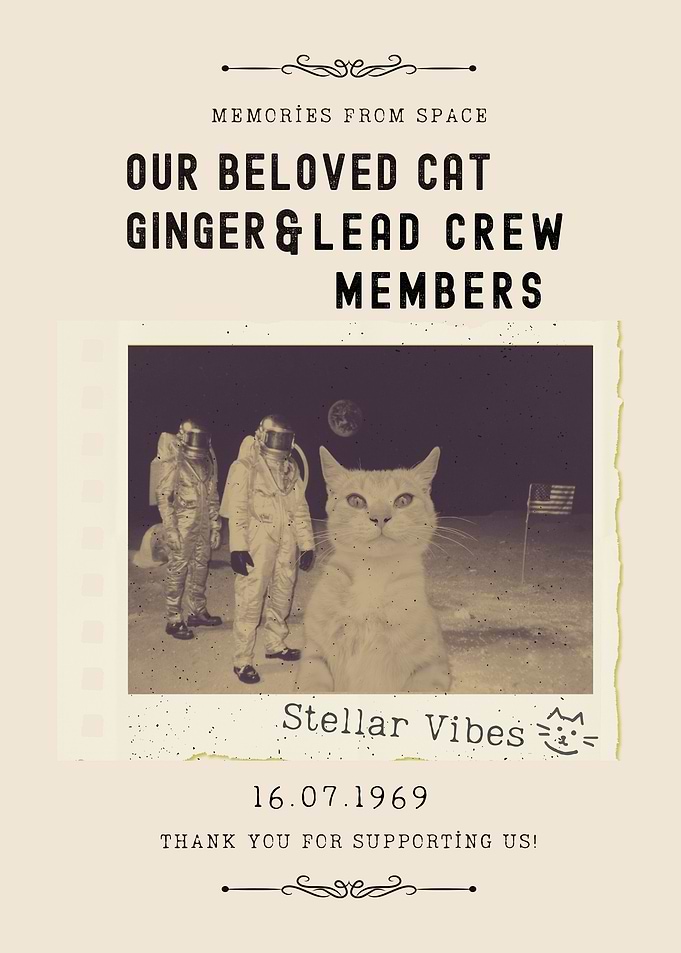 Cat on the Moon Vintage Funny Photo