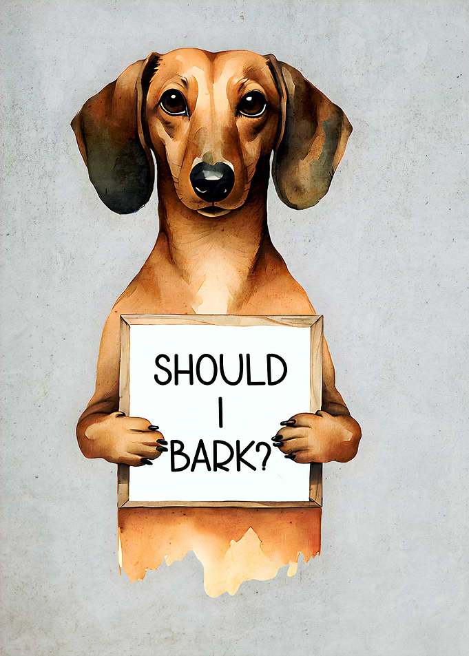 Funny Dachshund Barking
