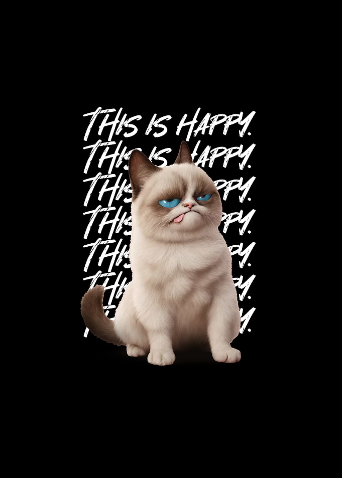 Funny Cat Happy