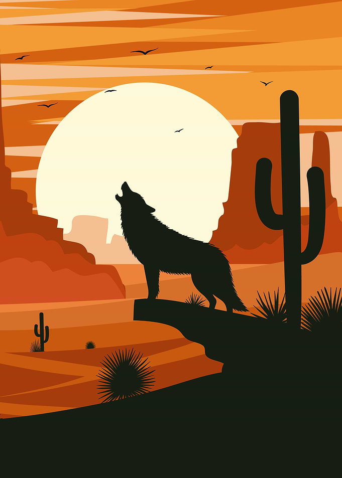 Lone Wolf at Sunset