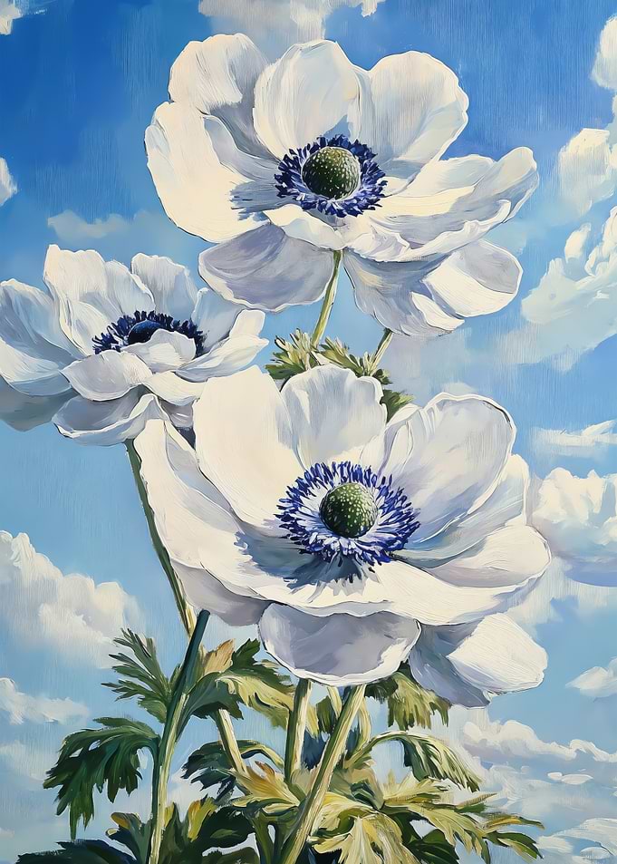 Bloom in White Anemones