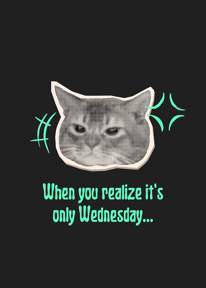 Wednesday Cat Meme