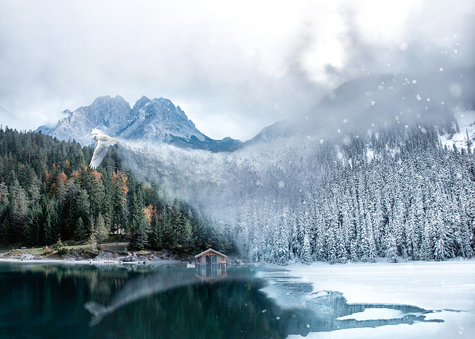 Bringer of Winter