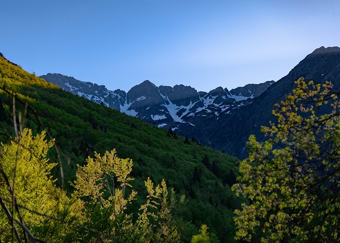 Awakening of nature