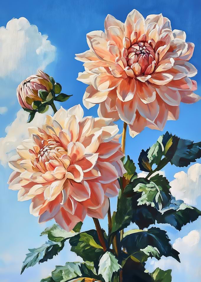 Bloom in Dahlia