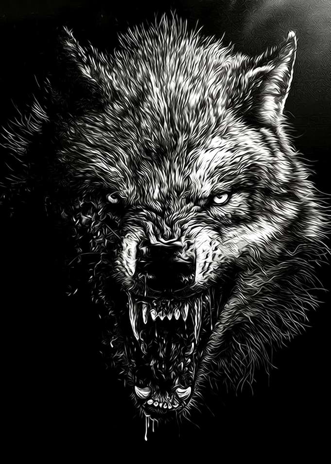 Angry Wolf Portrait