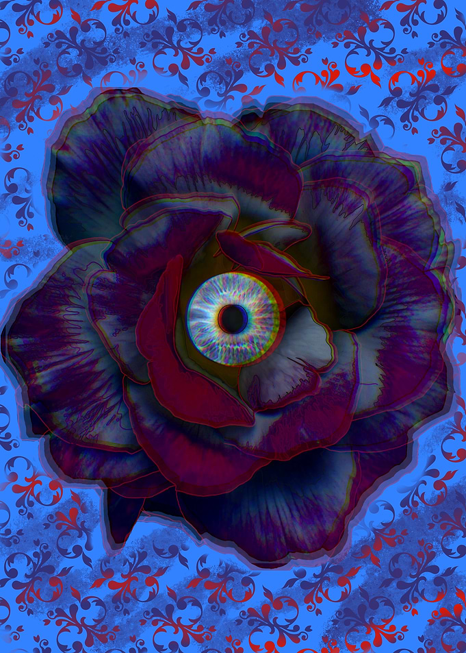 All Seeing Rose