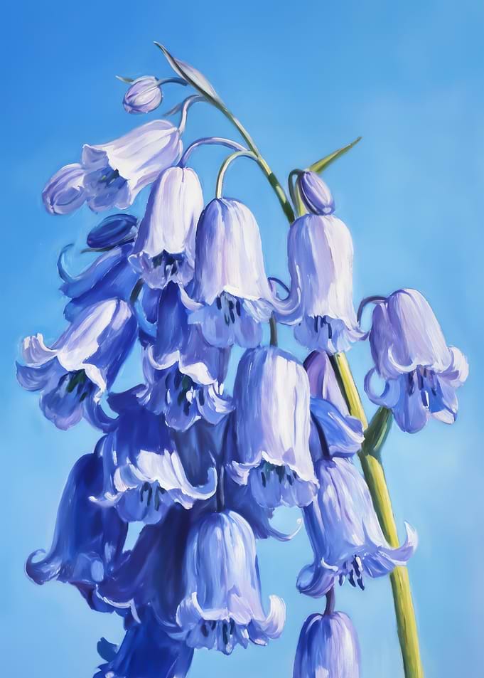 Bloom in Bluebell
