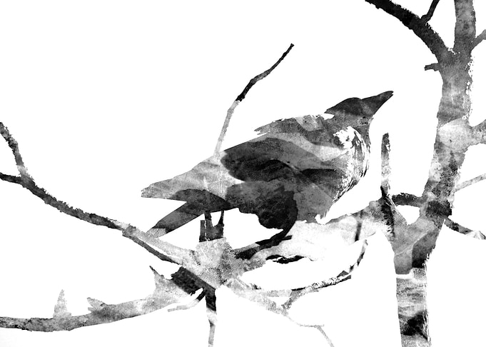 Crow ink Wash