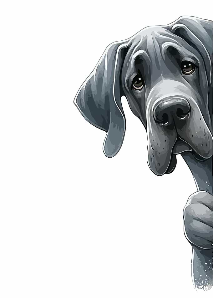 Great Dane Peeking