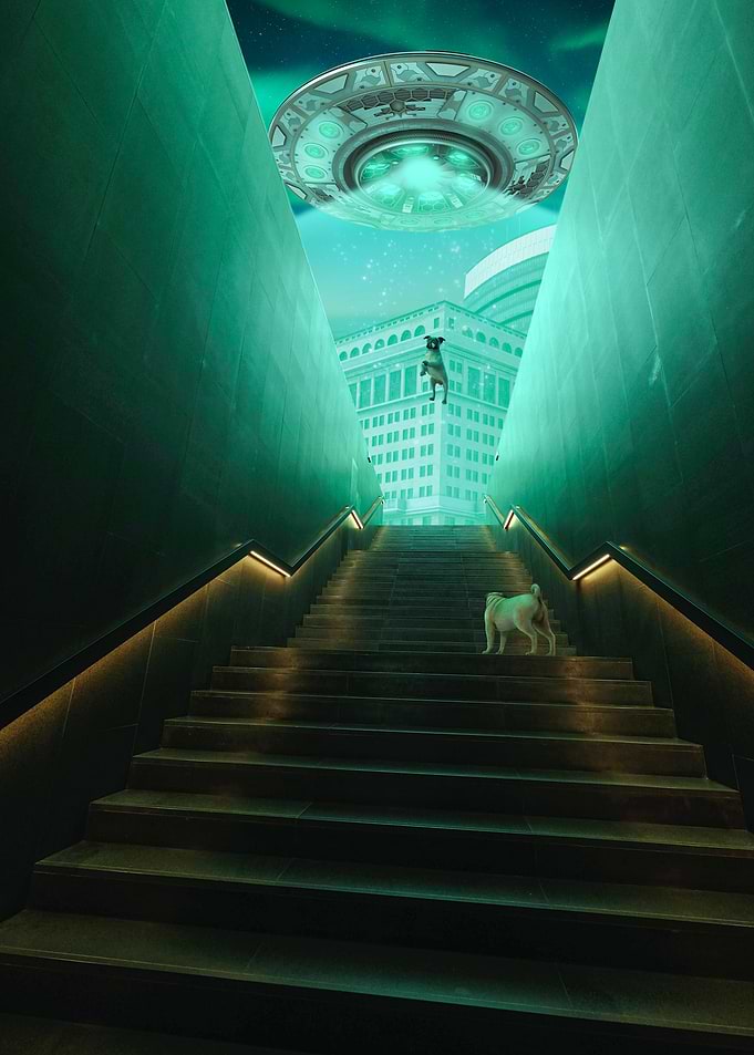 Pug Abduction
