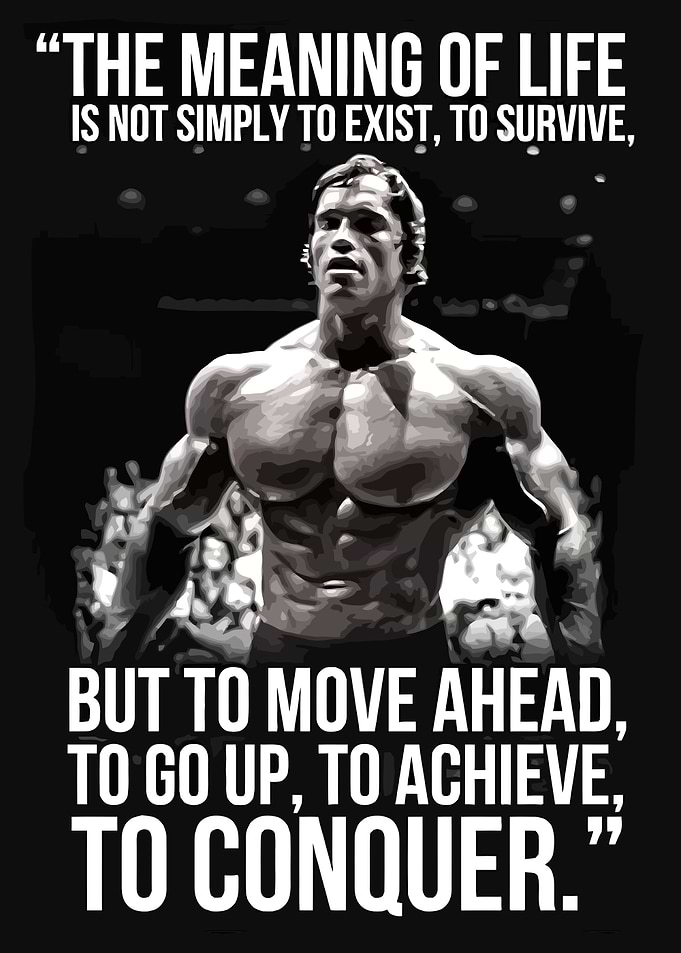 Arnold Schwarzenegger Motivational Quote