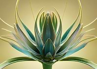 Golden Air Plant