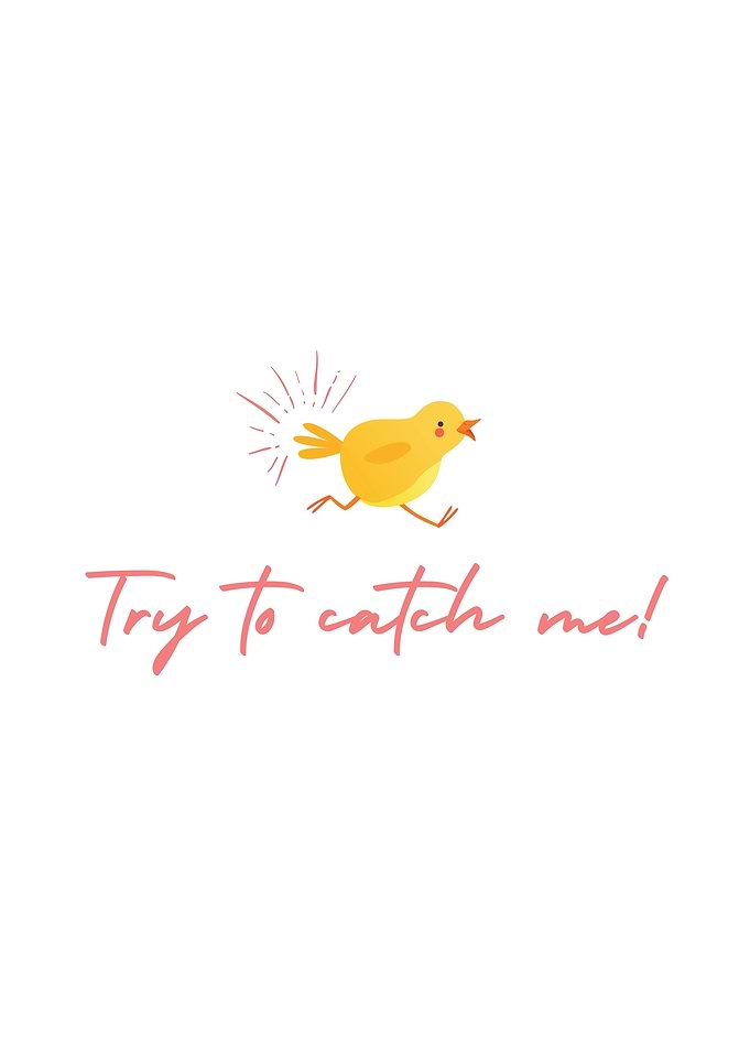 Catch Me Chick