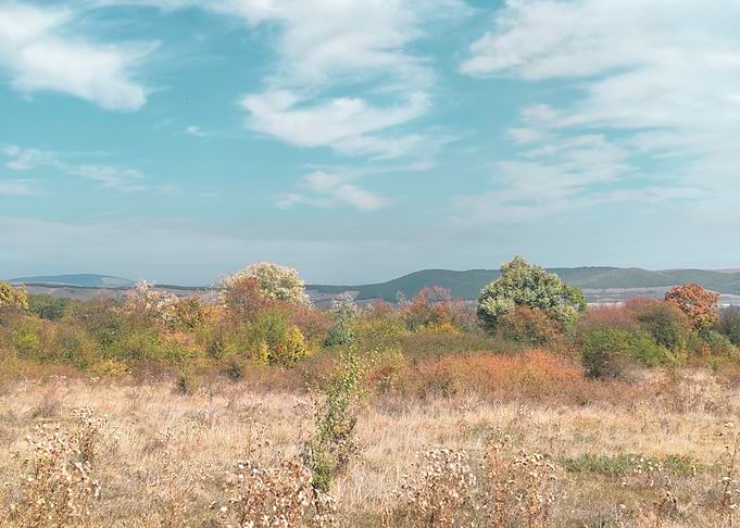 Autumn Landscape with Hills