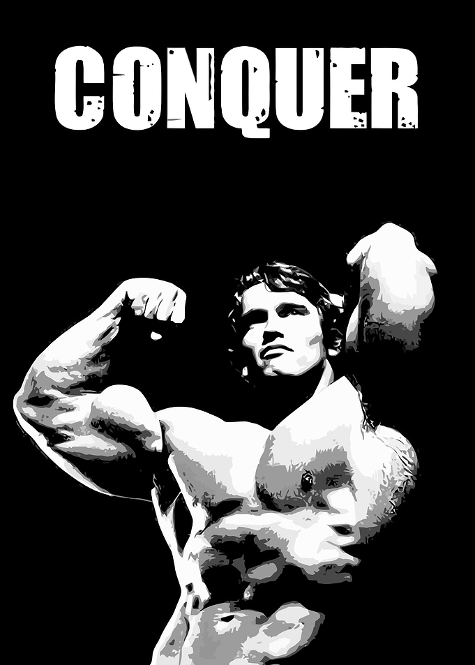 Arnold Schwarzenegger Conquer Poster