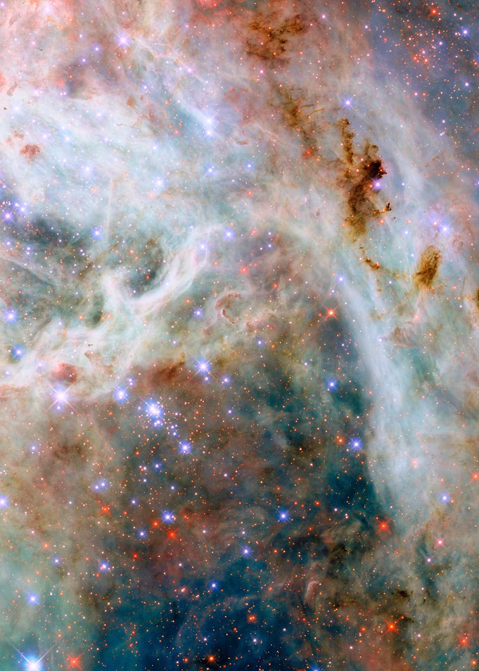 Cosmic Nebula Tarantula Nebula Large Magellanic Cloud