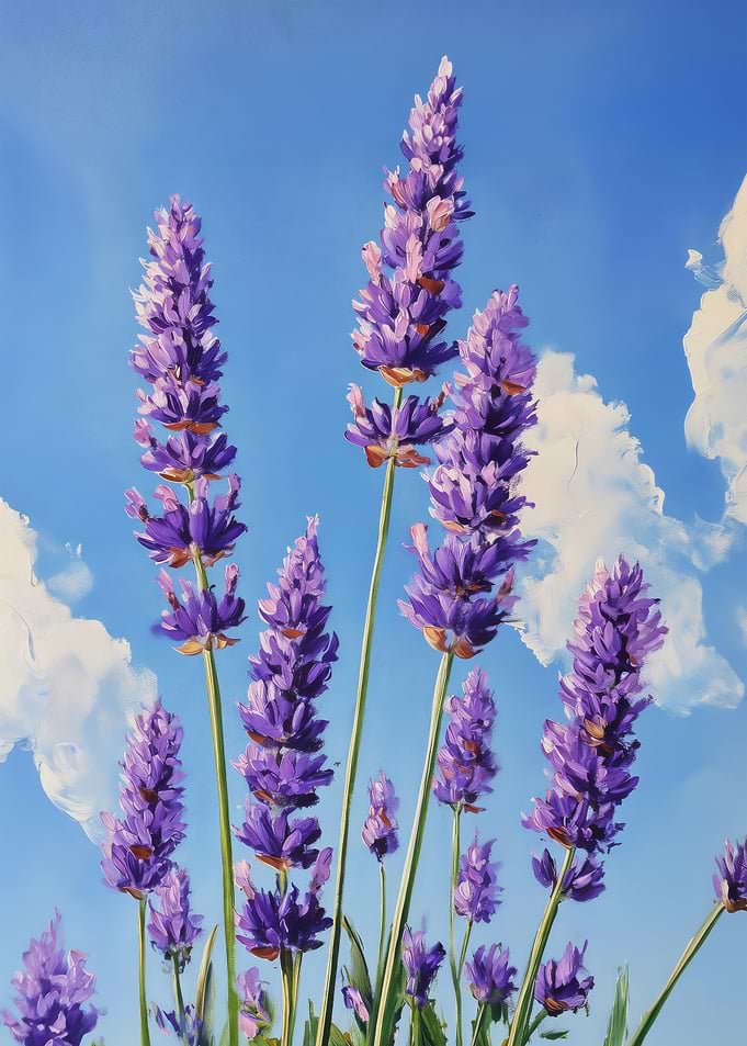 Bloom in Lavender
