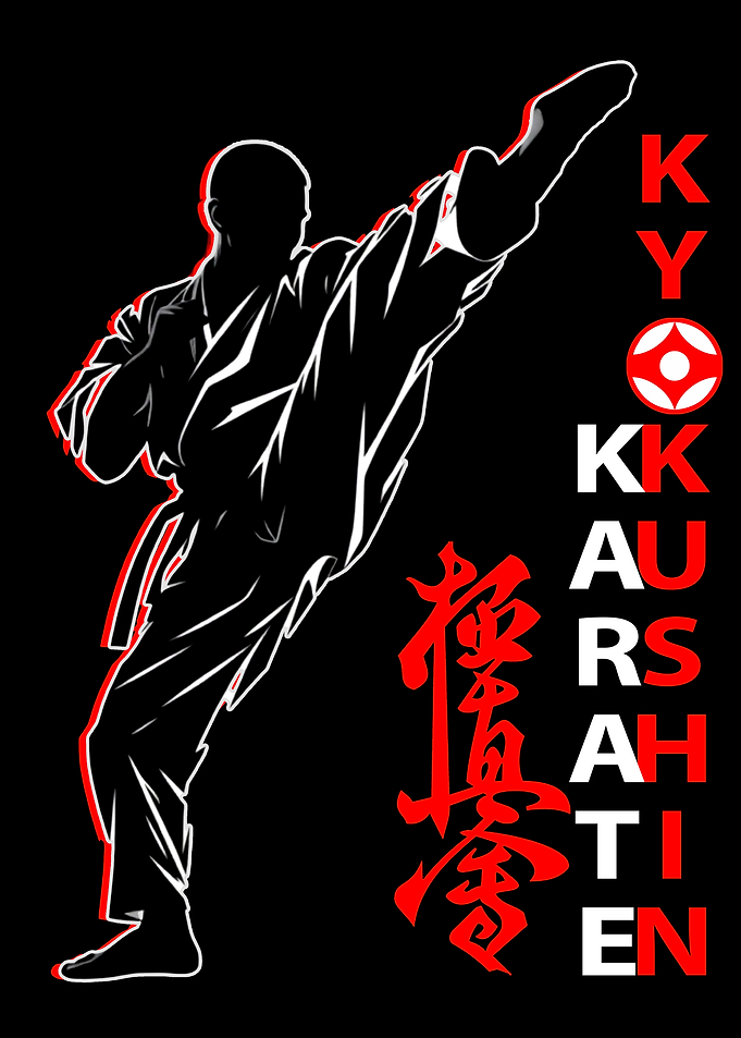 Kyokushin Karate Silhouette