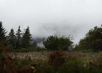Morning mist