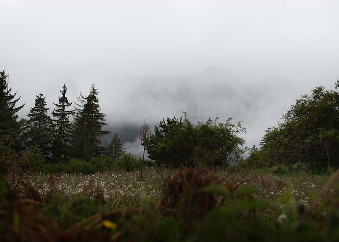 Morning mist