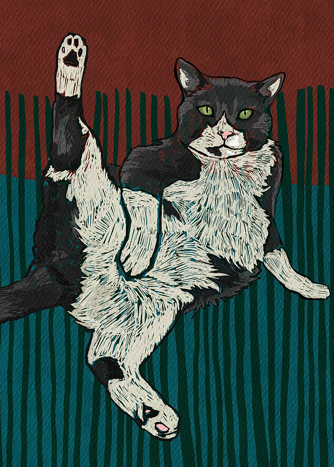 Yoga Master Cat Edition