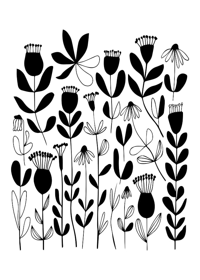 Minimalist Black and White Wildflower Art Print