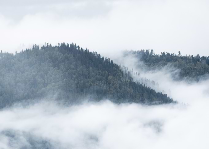 Foggy hills
