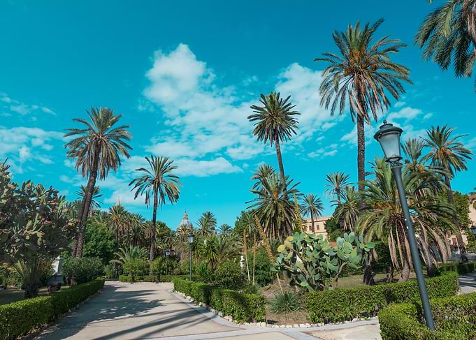 Palm Tree Garden Path