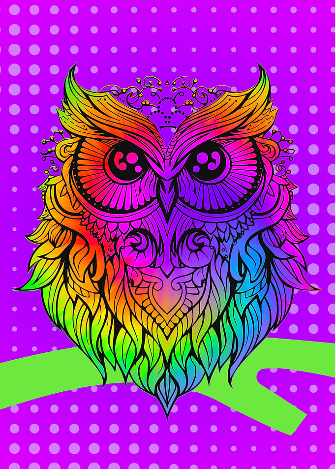 Rainbow Owl Art Print
