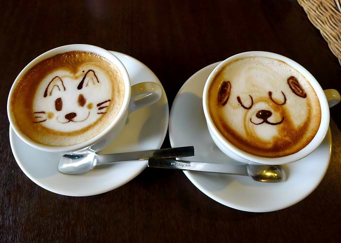 Cat and Dog Latte Art