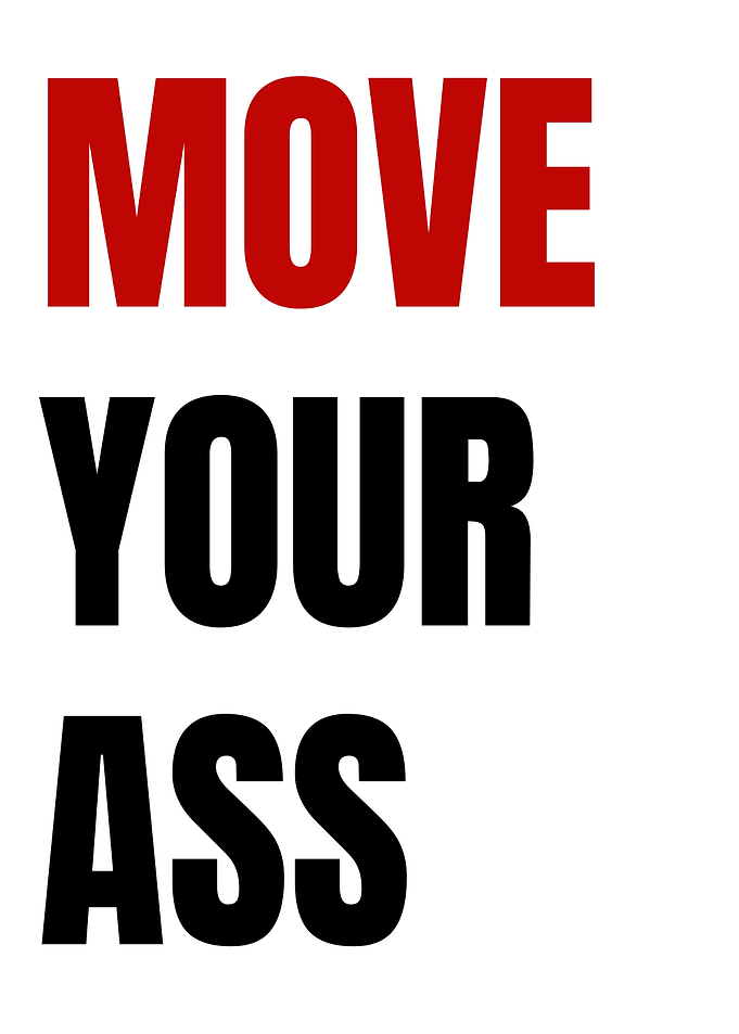 Move Your Ass Motivational Poster | No-Excuses Motivational Poster