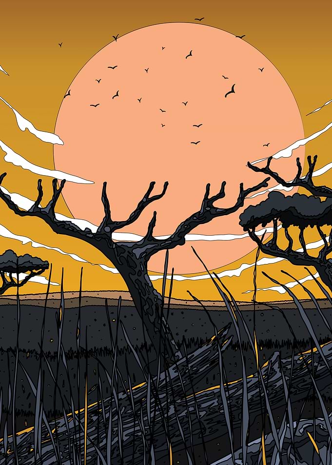 Sunset in the Savanna