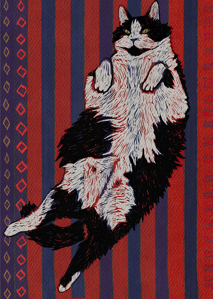Black and White Cat on StriThe Floating Feline: Defying Gravity and Expectationsped Rug
