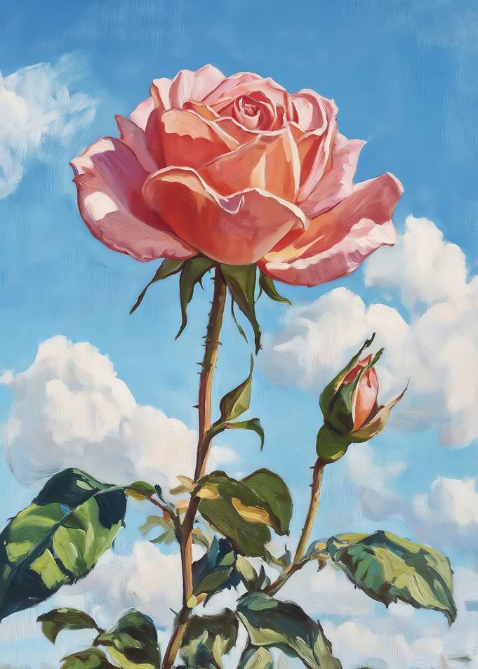 Bloom in Rose