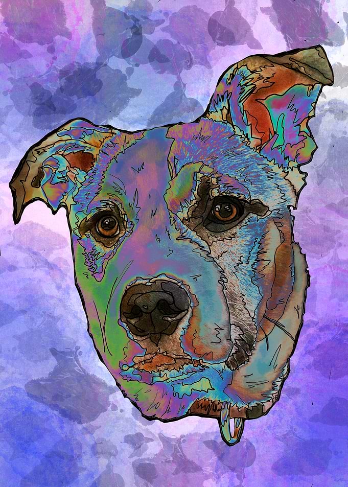 Gamma Water Husky