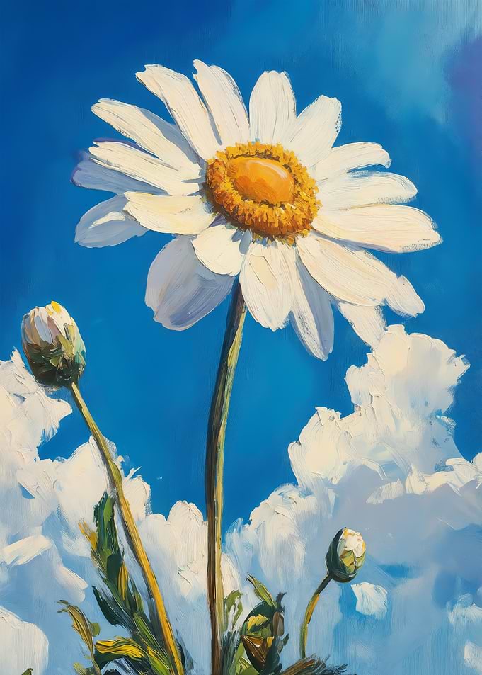 Bloom in Daisy