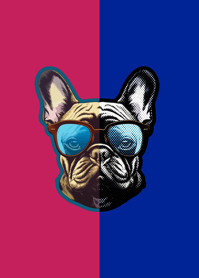 French Bulldog in Sunglasses