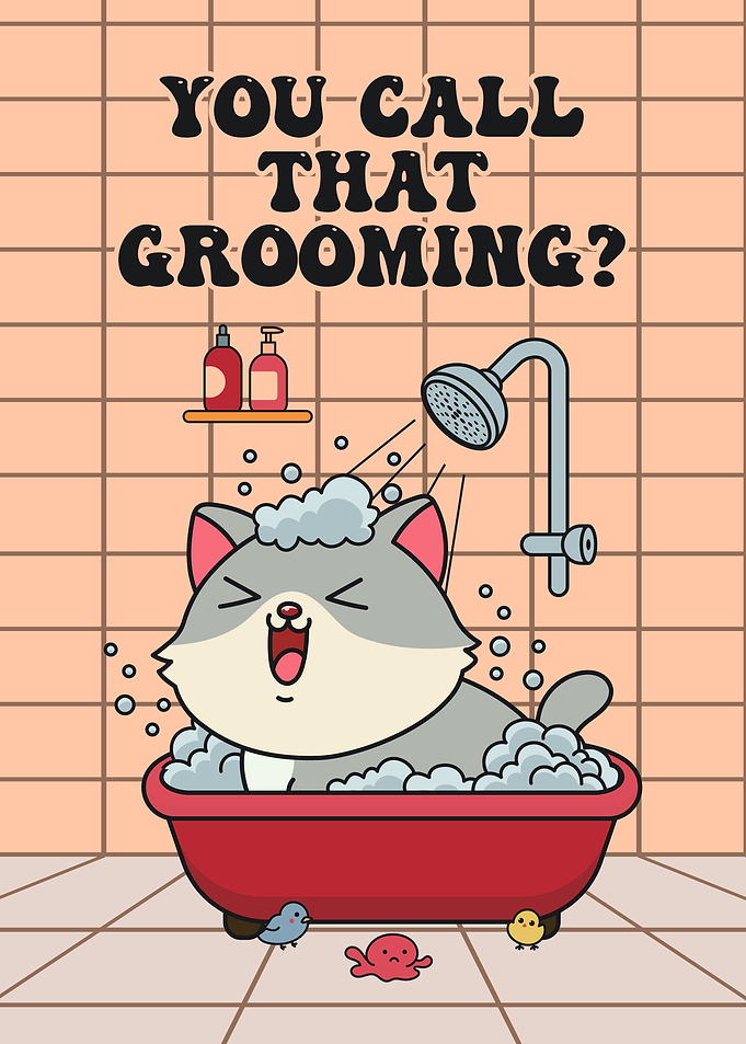 Cat Bath Time