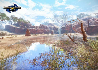 Rise Sandy Plains