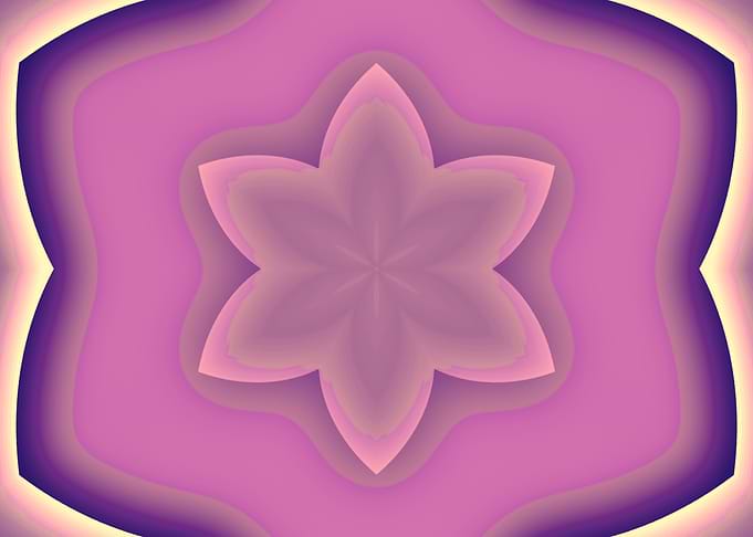 Pink and Purple Flower