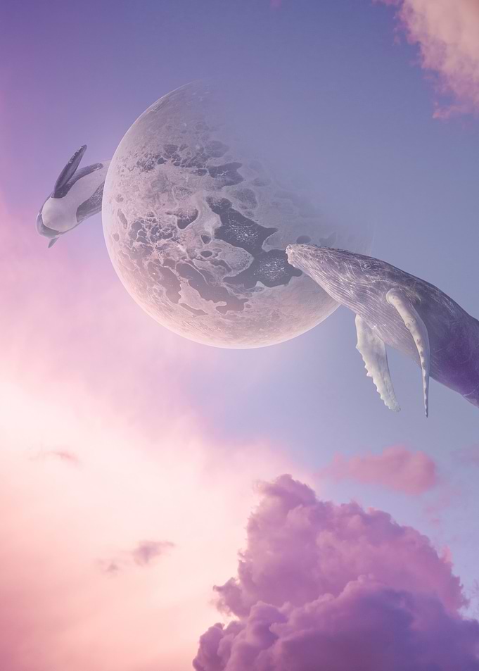 Whale in the Sky