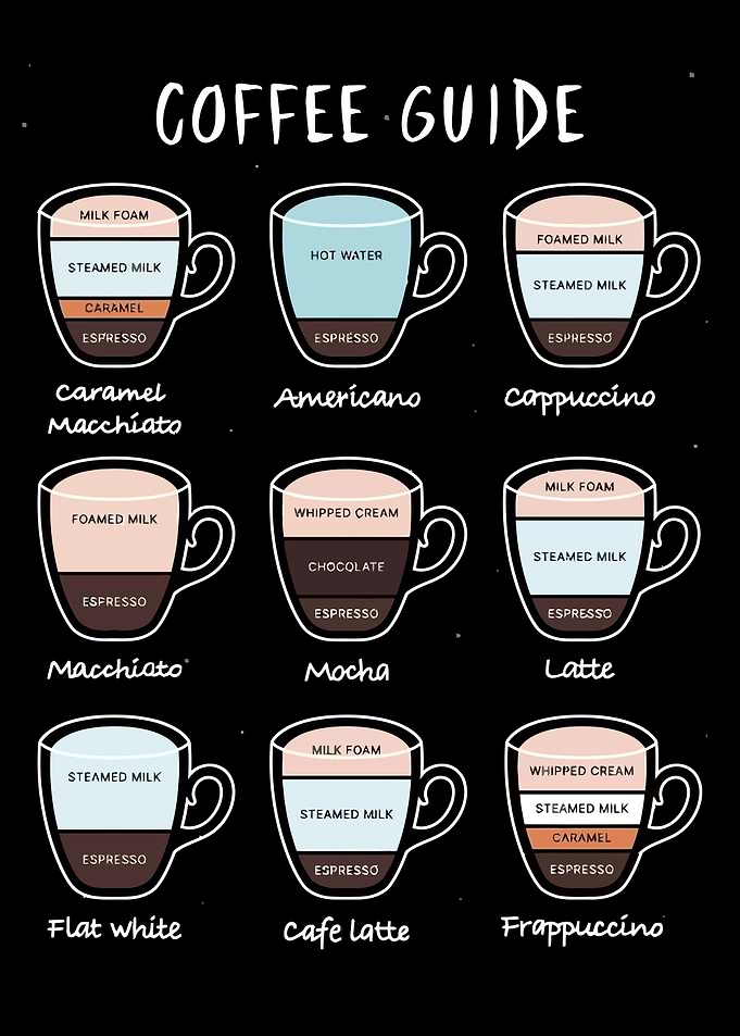 Coffee Guide Illustration