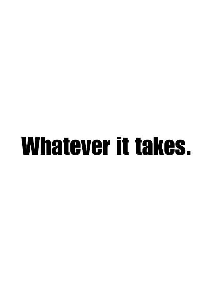Whatever It Takes Quote
