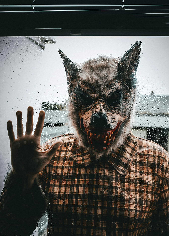 Wolf Mask Man