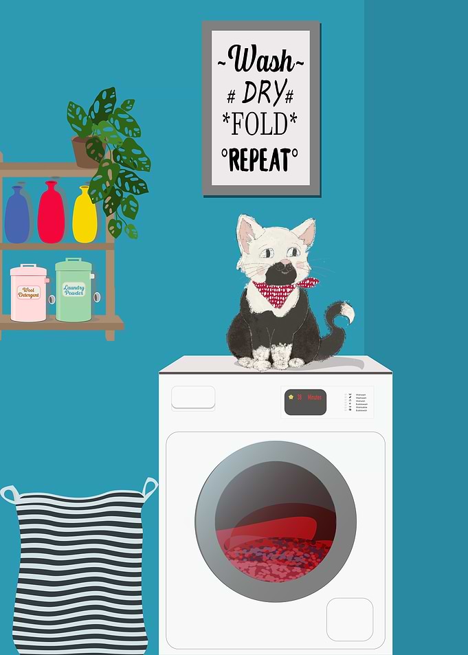Laundry Day Cat