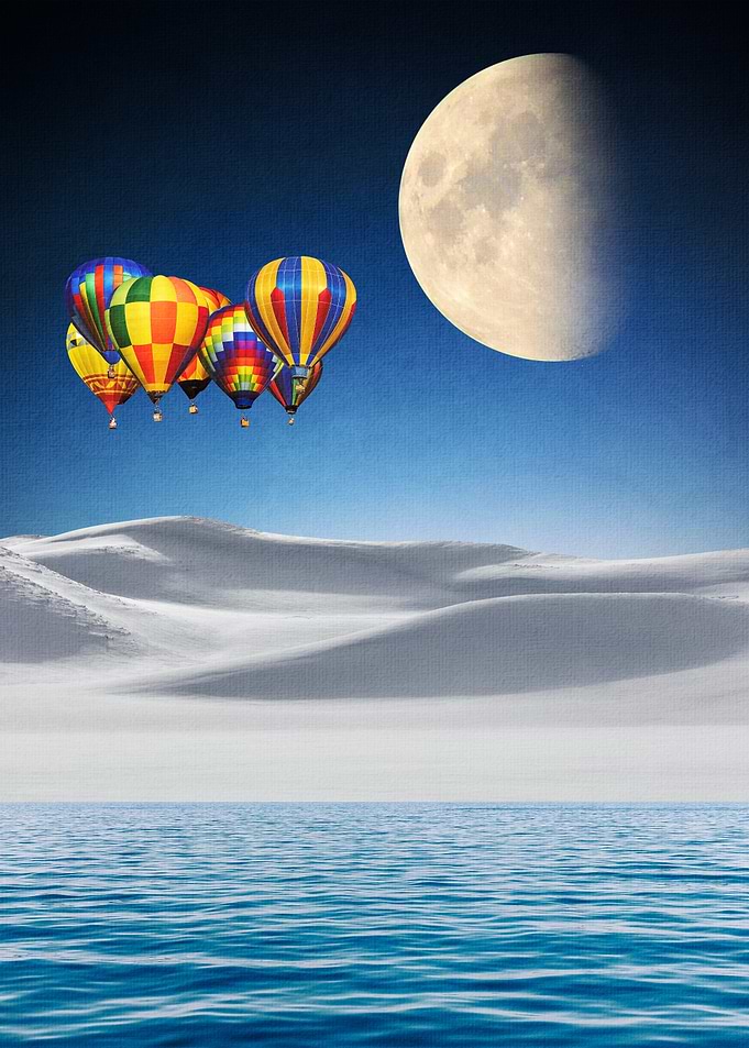 Seeking Adventure