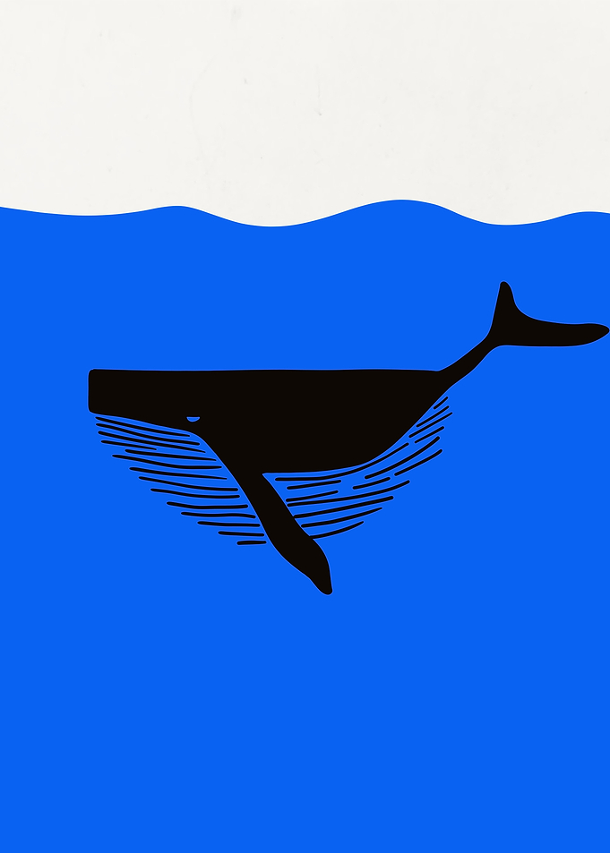 Whale Silhouette