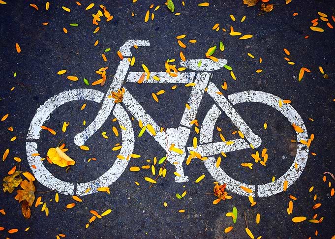 Bike Lane Sign